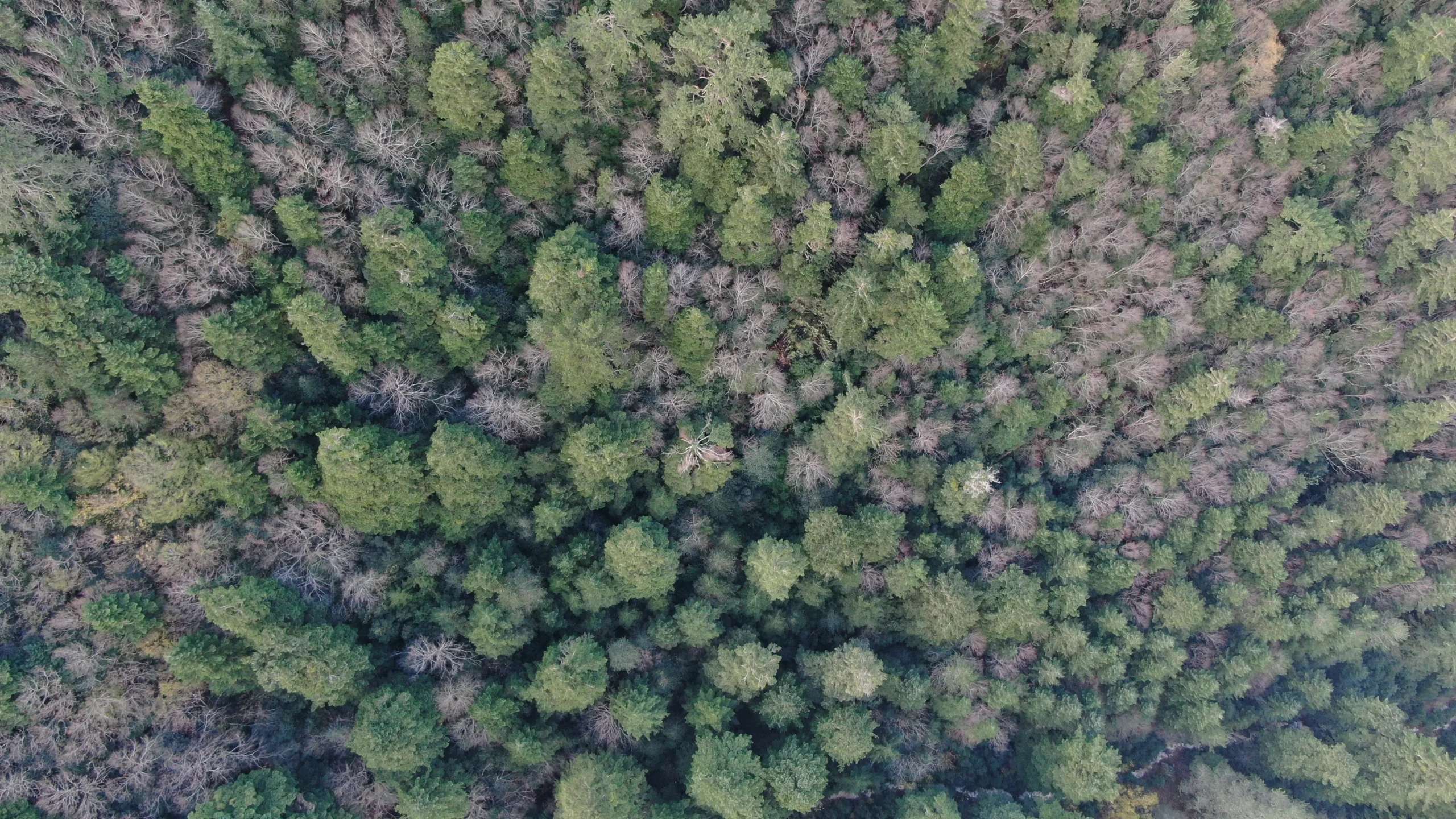 Parku Kombëtar Llogora