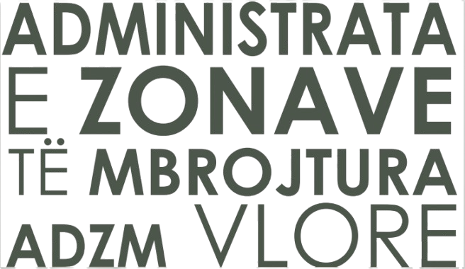 ADZM Vlorë