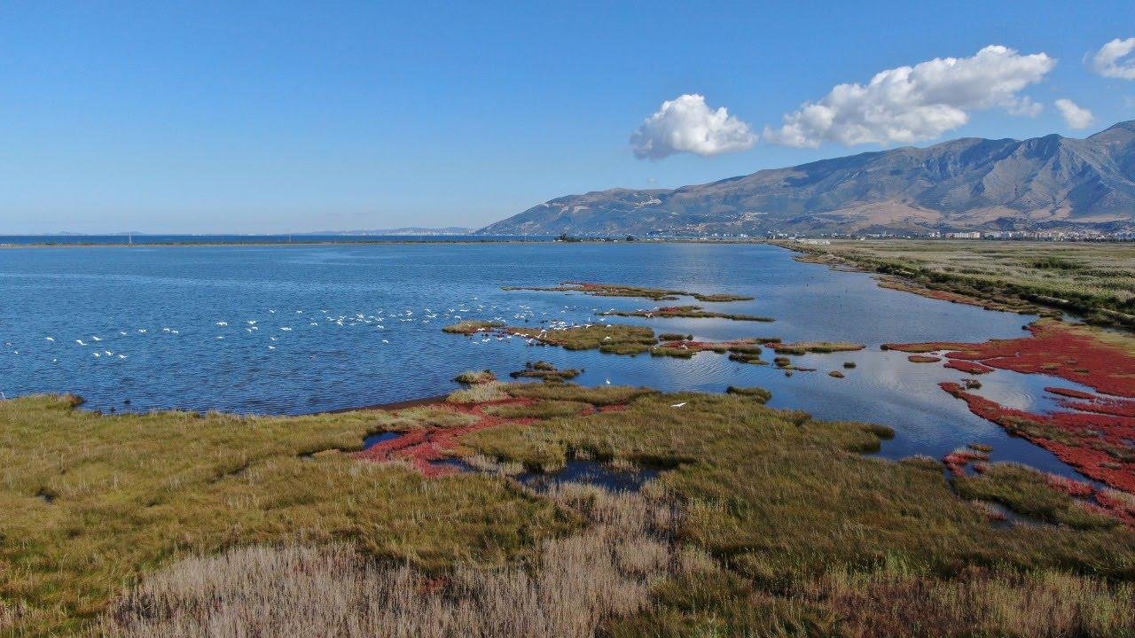 Laguna e Orikumit