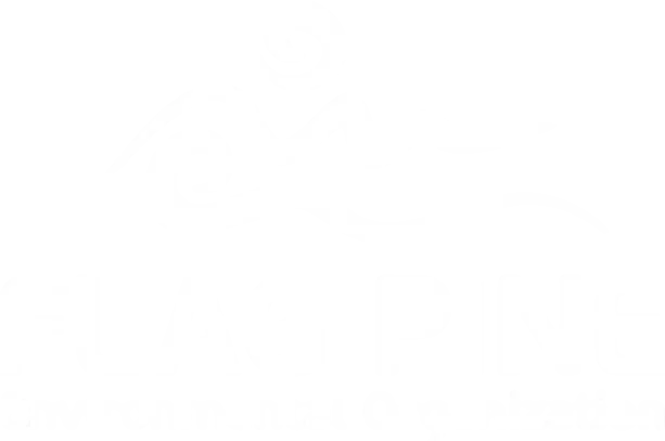 Logo Footer